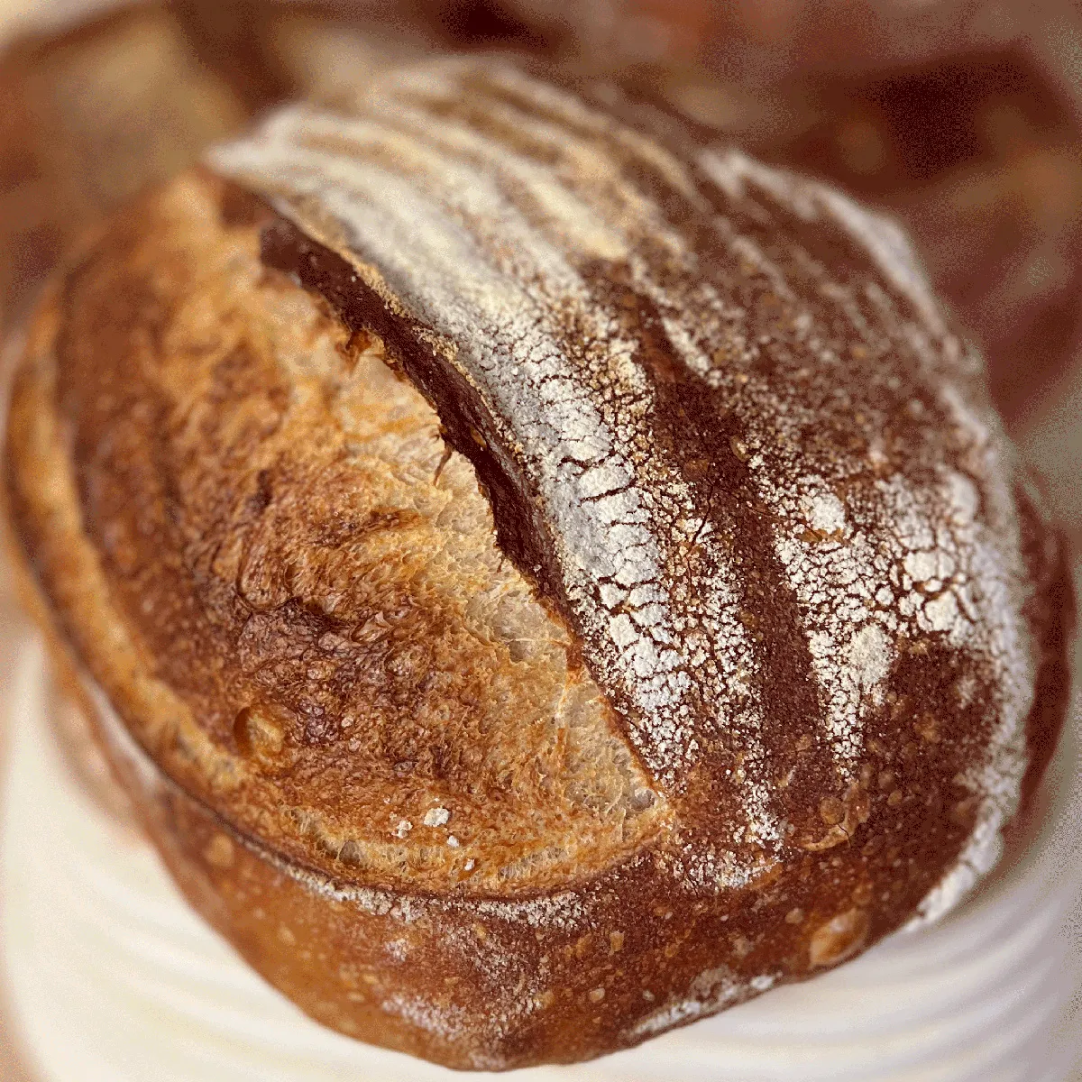 Artisan sourdough boule