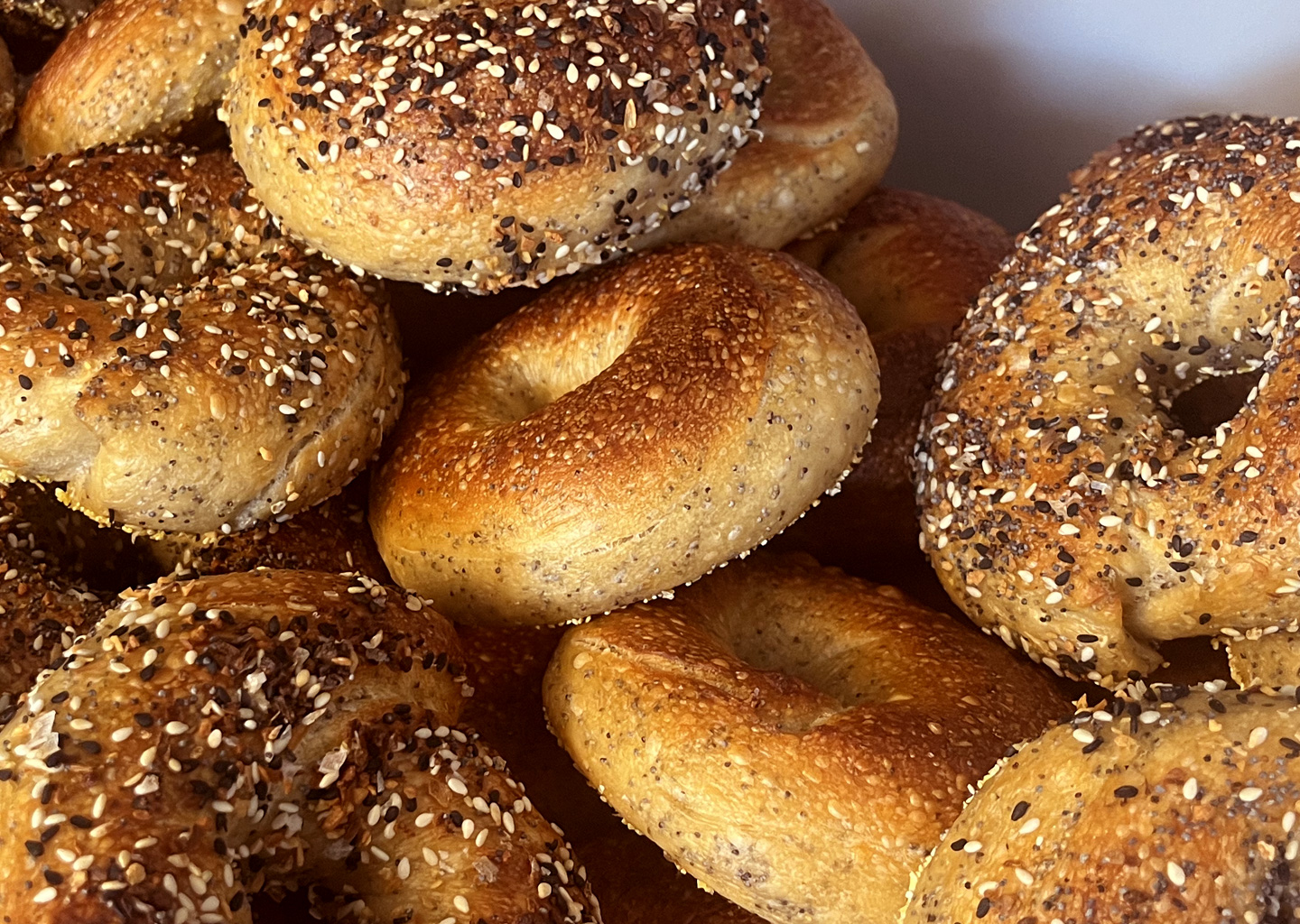 Freshly baked sourdough bagels