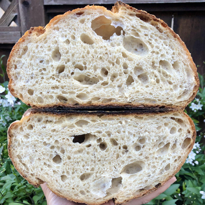 Placeholder Image bread