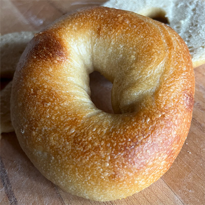 Plain bagel
