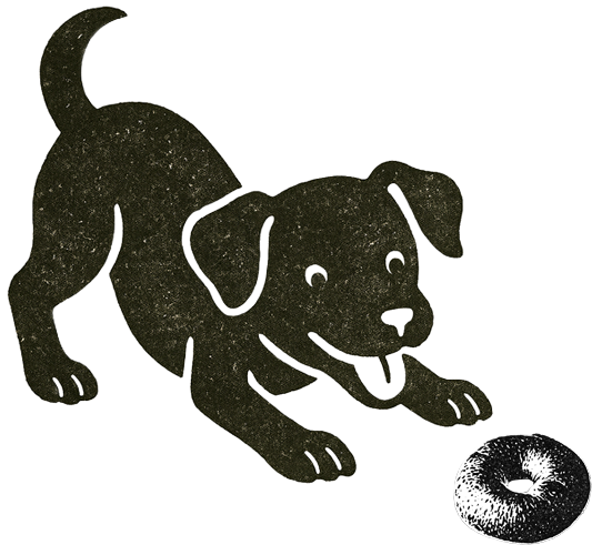 Jojo the puppy with a bagel
